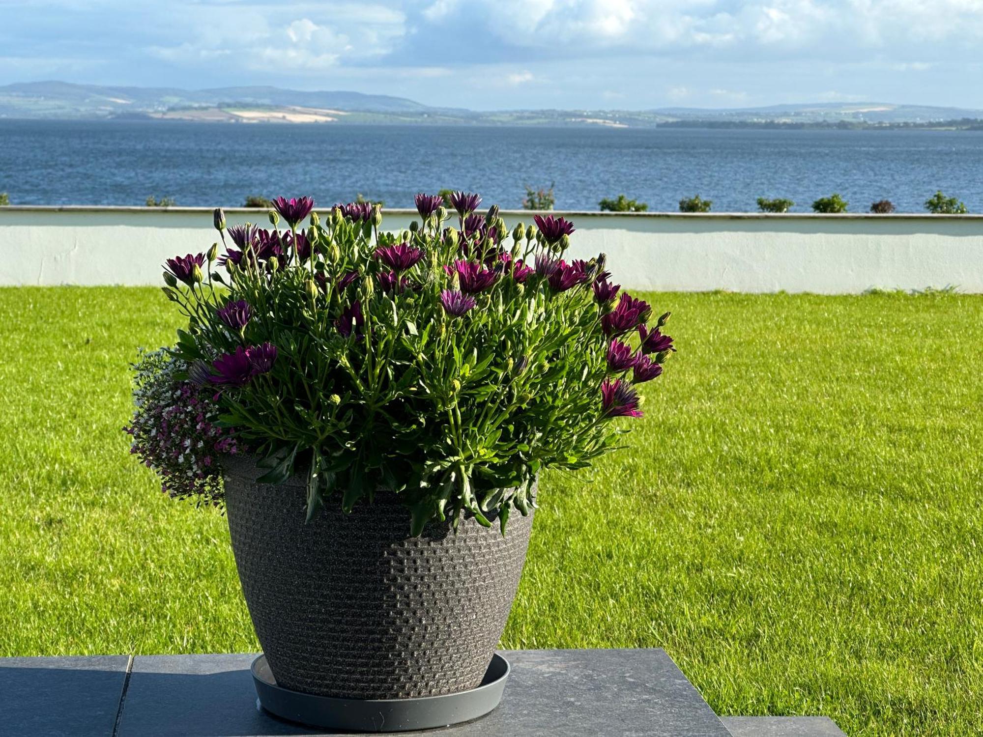 Sea Vista - Rathmullan Villa Exterior foto