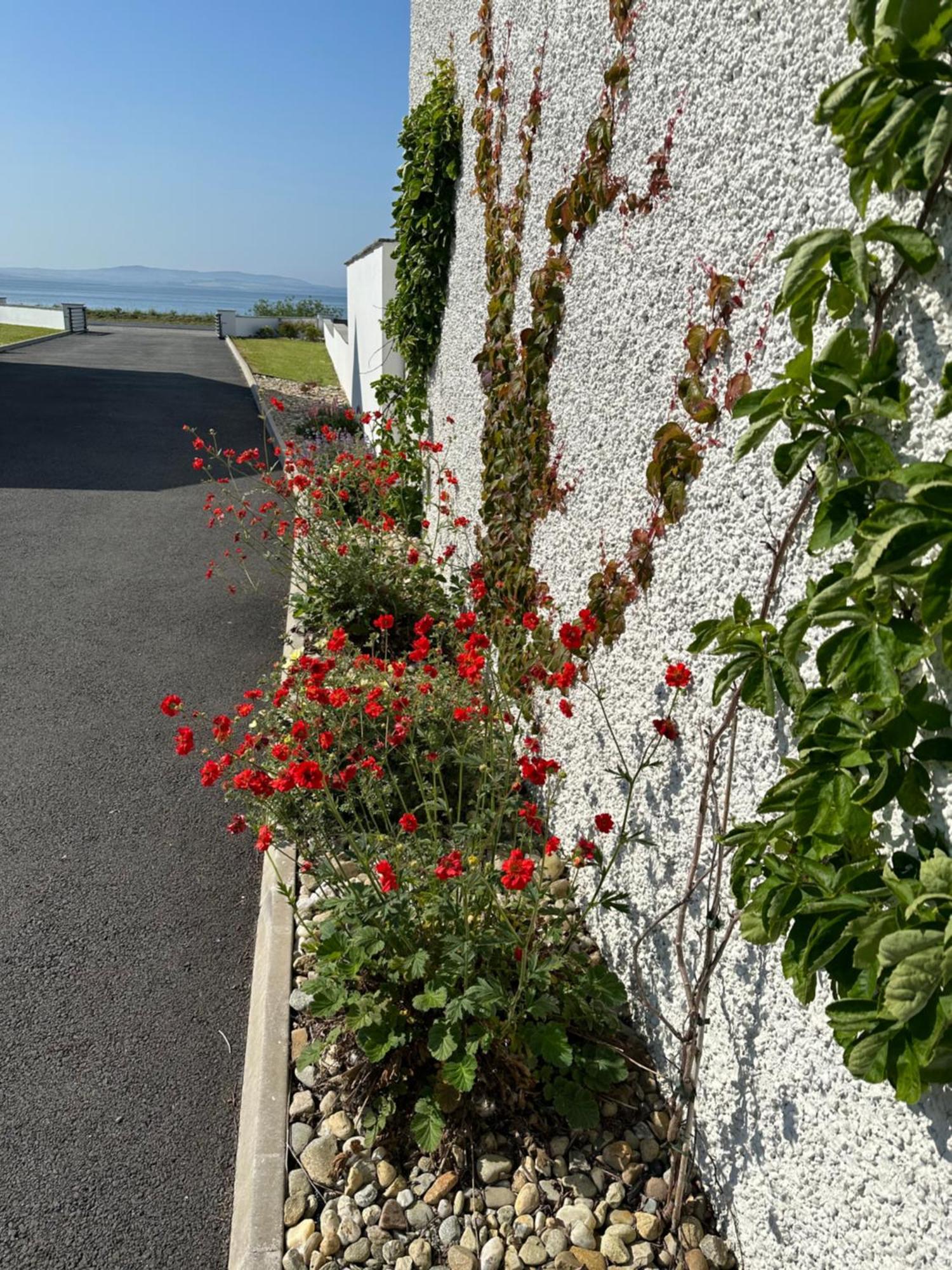 Sea Vista - Rathmullan Villa Exterior foto